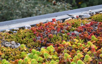 the cost of Ramsdell green roof installation