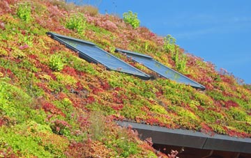 Ramsdell living roof systems